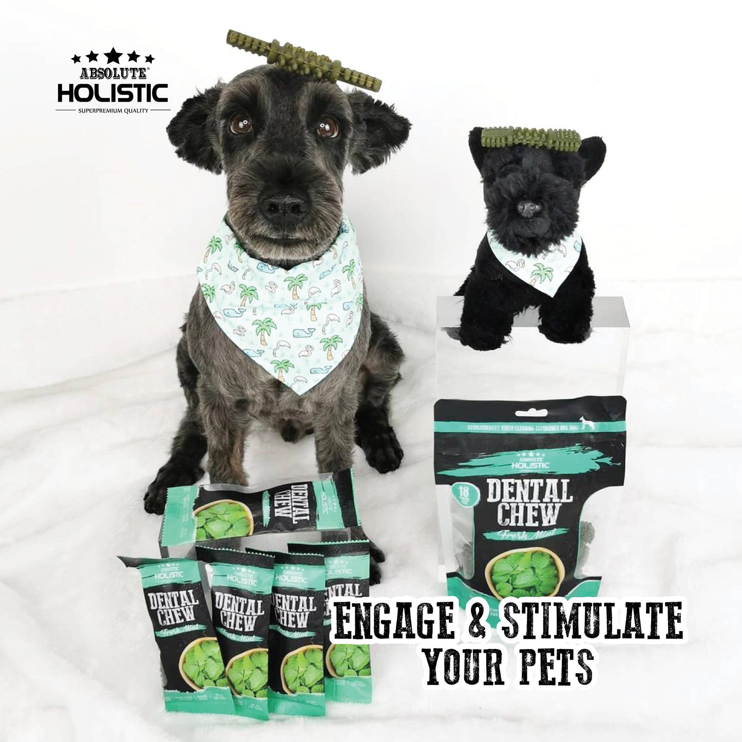 Absolute Holistic Value Pack Dental Chews for Dogs - Fresh Mint (160g)
