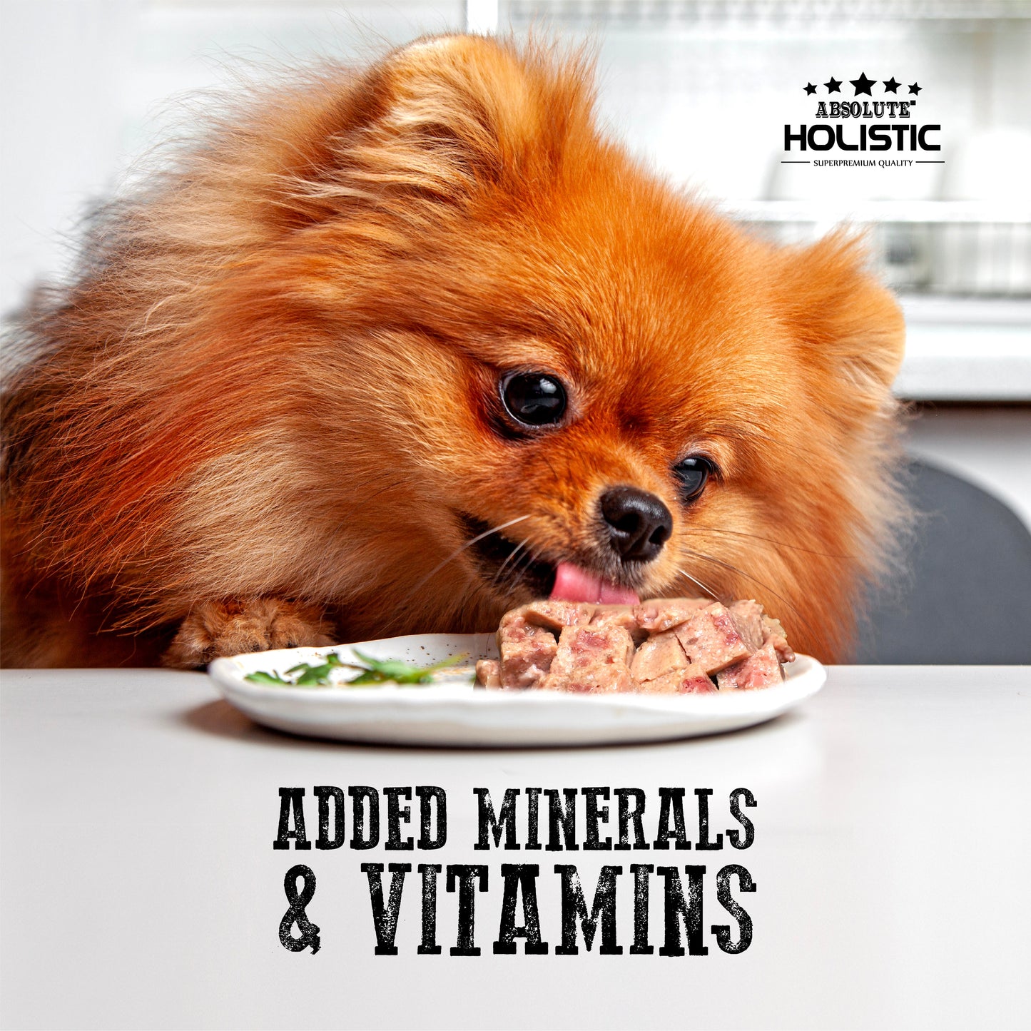 Absolute Holistic Meaty Loaf | Chicken