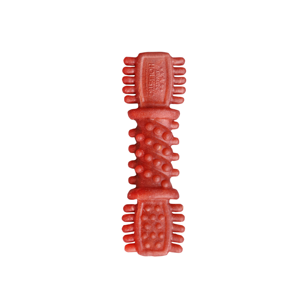 Absolute Holistic Dental Chew for Dogs - Cranberry (4")
