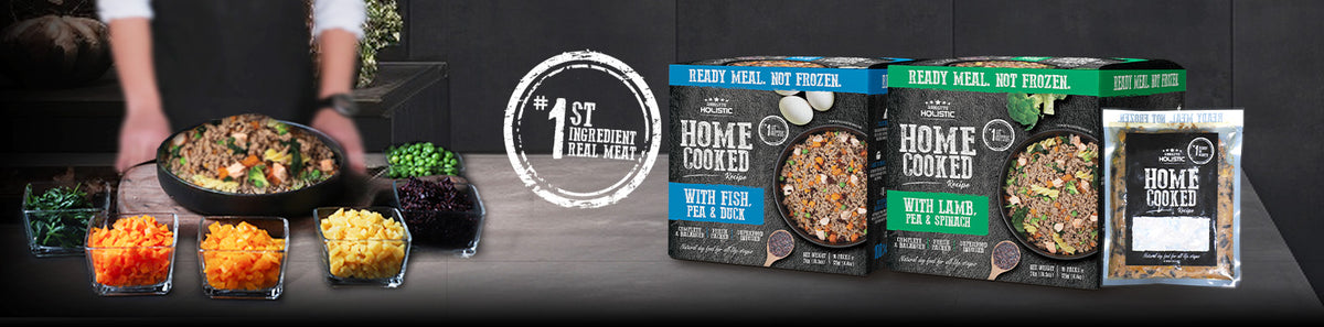 Absolute Cooked Absolute Holistic Home Cooked Dog Food | Natural & Fresh Packed