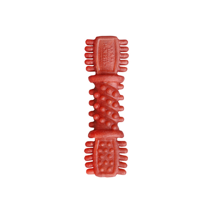 Absolute Holistic Dental Chew for Dogs - Cranberry (4")