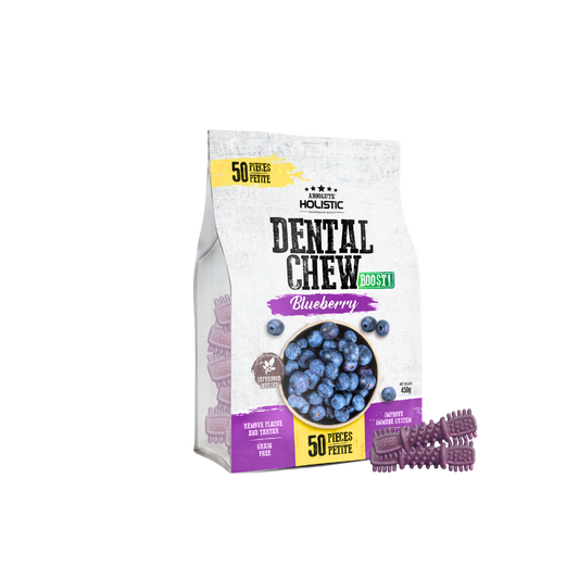 Absolute Holistic Dental Chews Jumbo Pack BOOST | Blueberry