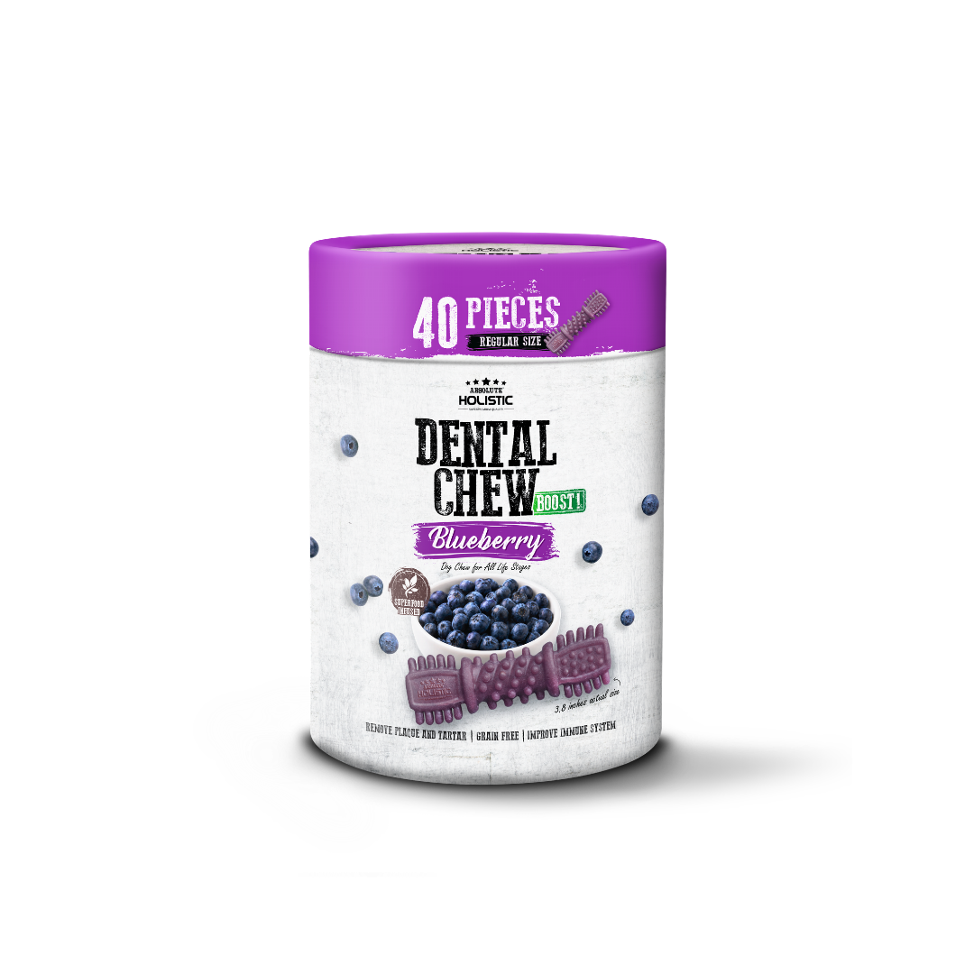 Absolute Holistic Dental Chew BOOST! Blueberry Value Tub Regular Size