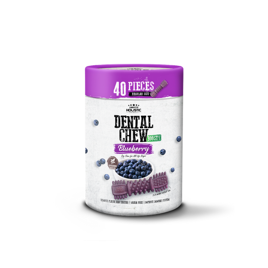 Absolute Holistic Dental Chew BOOST! Blueberry Value Tub Regular Size