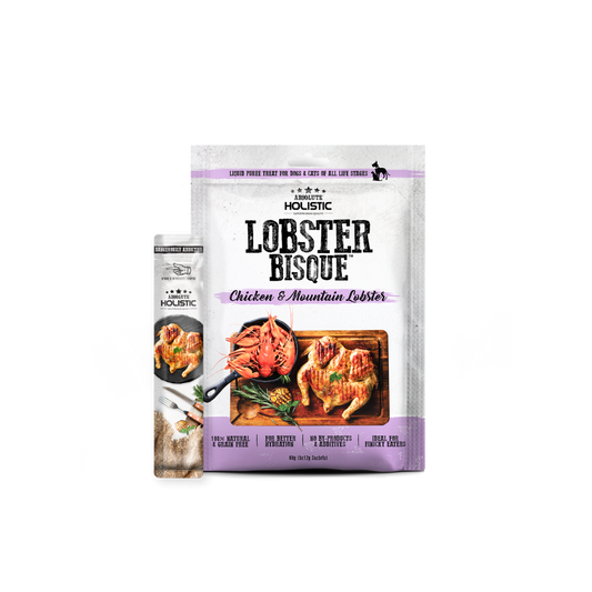 Absolute Holistic Liquid Bisque Treats | Chicken & Lobster Bisque