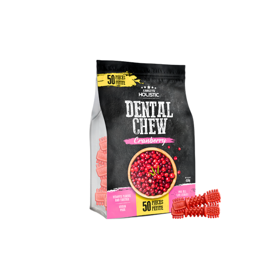 Absolute Holistic Dental Chews Jumbo Pack BOOST | Cranberry