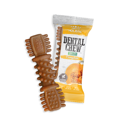 Absolute Holistic BOOST Dental Chew for Dogs - Pumpkin (4") | Infused with Superfood