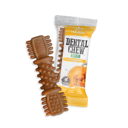 Absolute Holistic BOOST Dental Chew for Dogs - Pumpkin (4") | Infused with Superfood