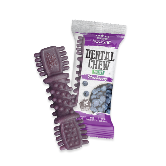 Absolute Holistic BOOST Dental Chew for Dogs - Blueberry (4") | Infused with Superfood