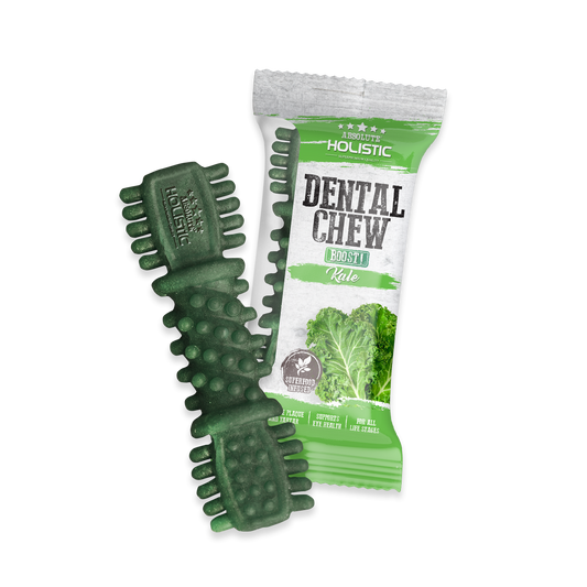 Absolute Holistic BOOST Dental Chew for Dogs - Kale (4") | Infused with Superfood