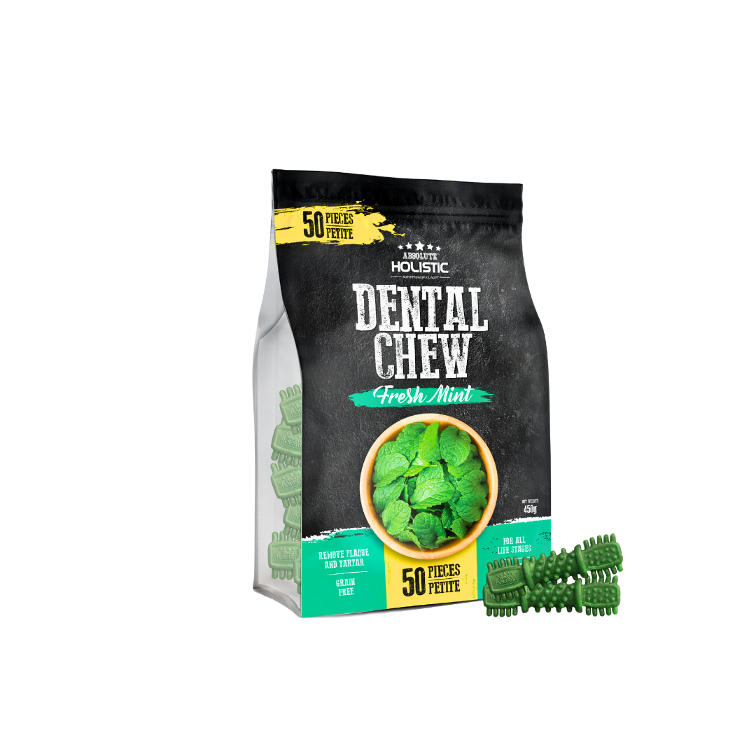 Absolute Holistic Dental Chews Jumbo Pack Boost | Fresh Mint