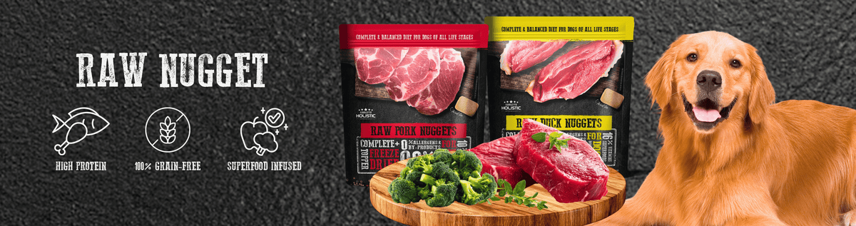 Absolute Cooked Absolute Holistic | Healthy, Natural Cat & Dog Meals