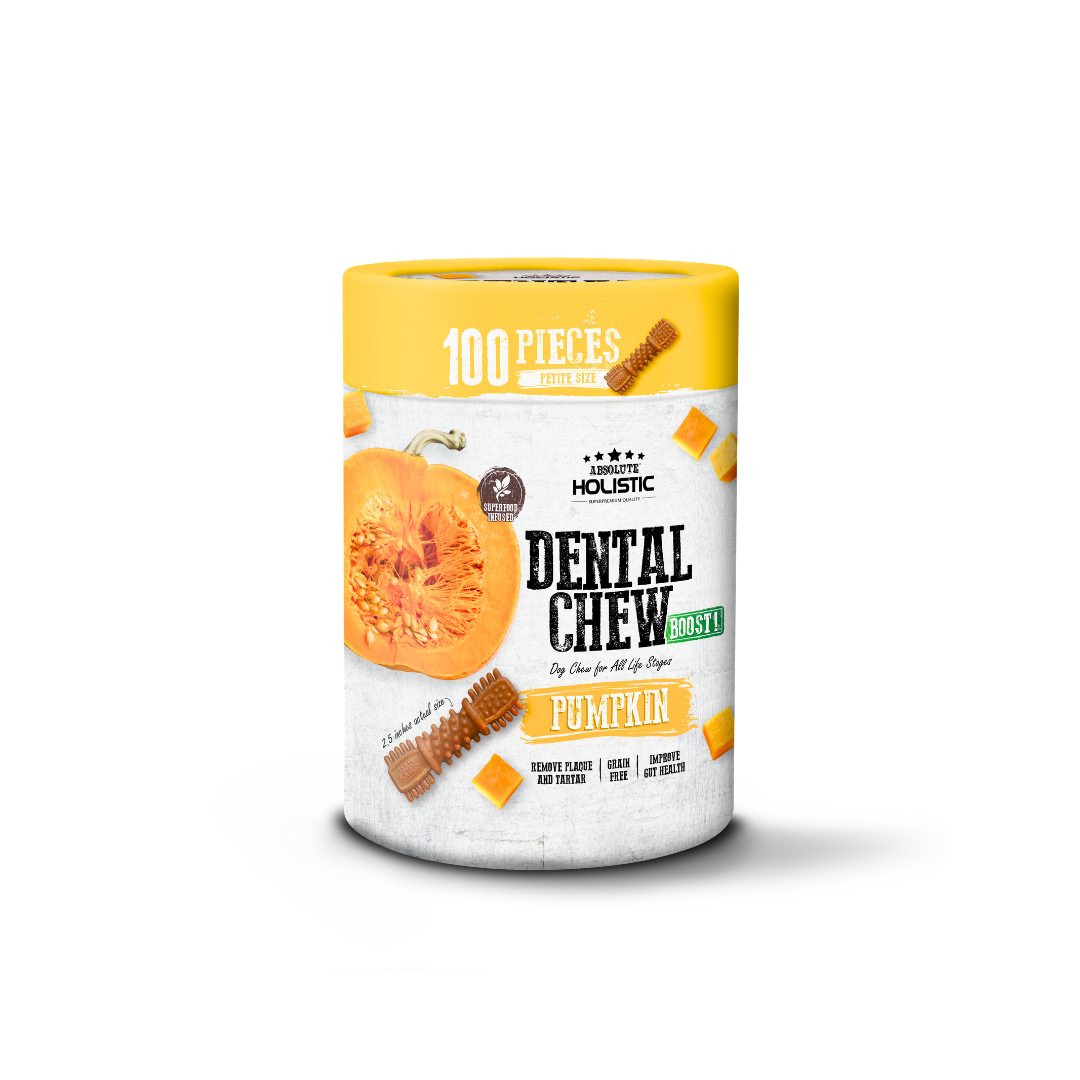 Absolute Holistic Dental Chew BOOST! Pumpkin Value Tub Petite Size
