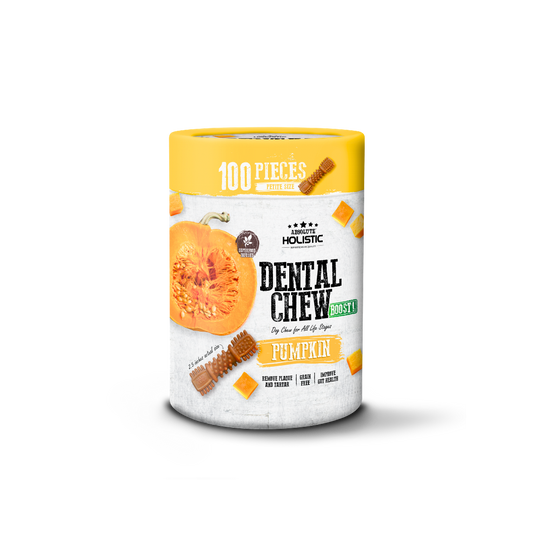 Absolute Holistic Dental Chew BOOST! Pumpkin Value Tub Petite Size
