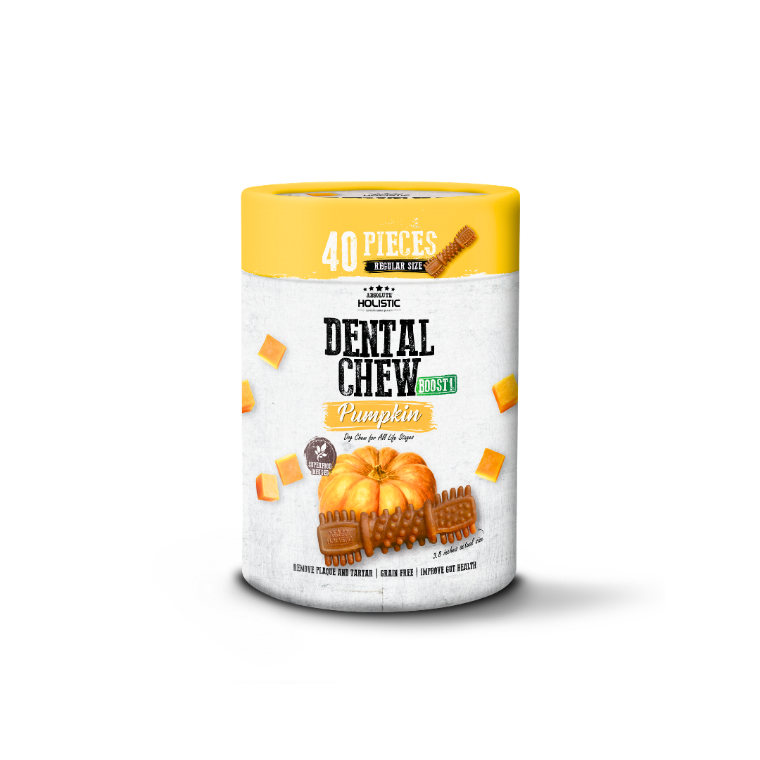Absolute Holistic Dental Chew BOOST! Pumpkin Value Tub Regular Size