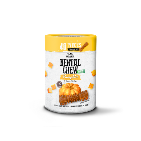 Absolute Holistic Dental Chew BOOST! Pumpkin Value Tub Regular Size