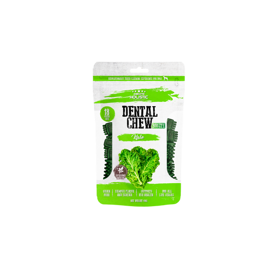 Absolute Holistic Value Pack Dental Chews for Dogs -  Kale
